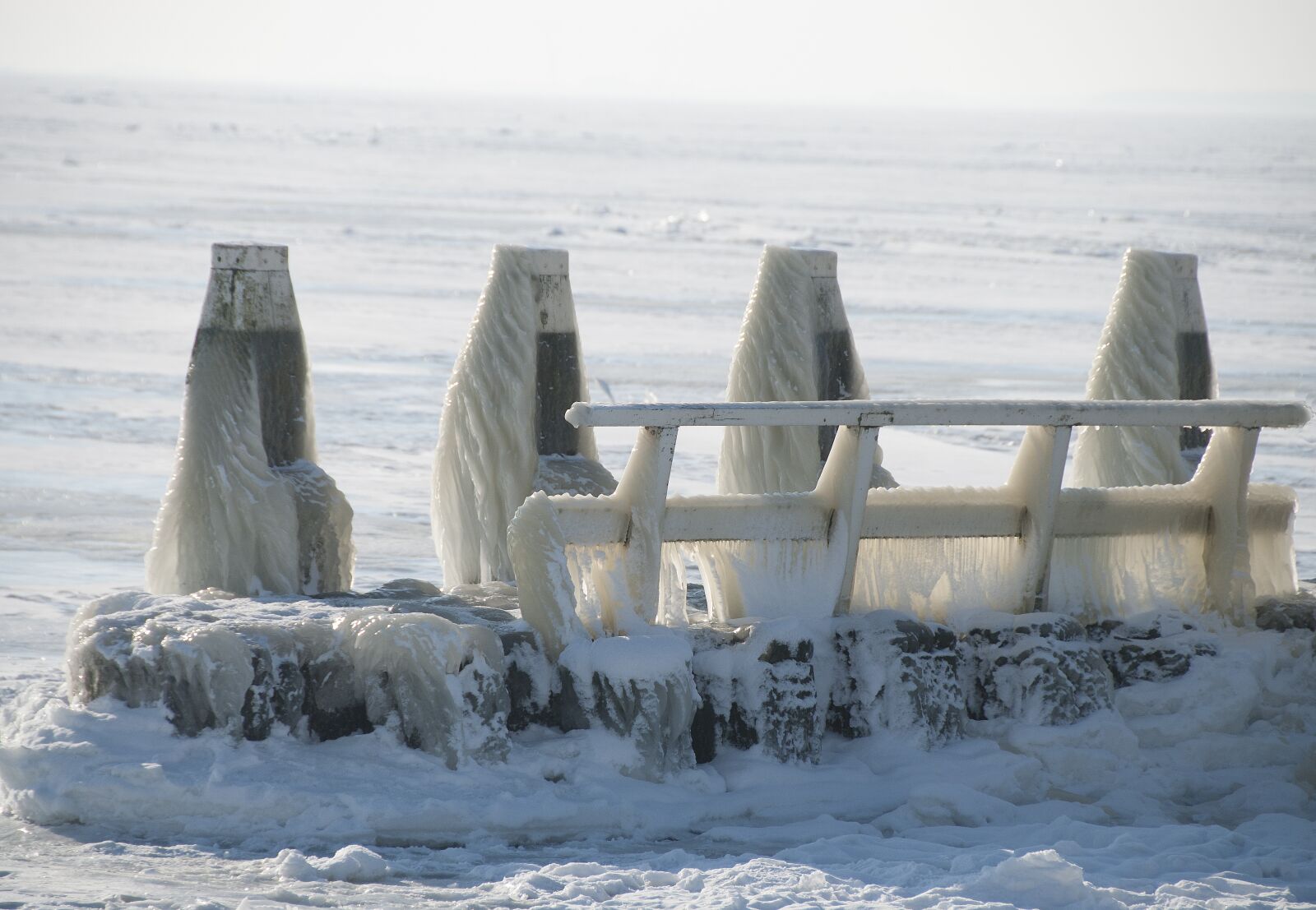 Nikon D80 sample photo. Winter, ice, frozen photography