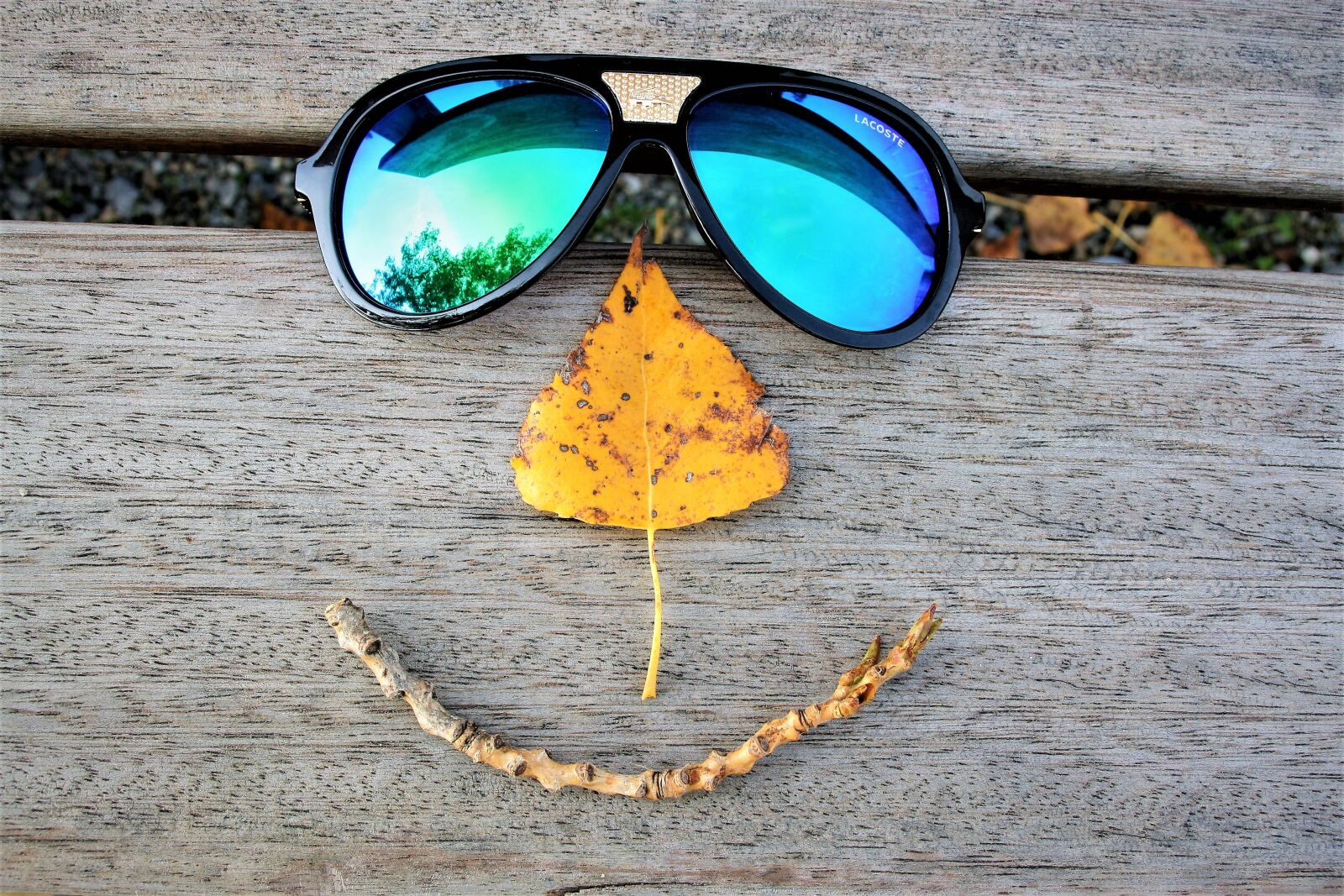 Canon EOS 400D (EOS Digital Rebel XTi / EOS Kiss Digital X) sample photo. Glasses, a smile, leaf photography
