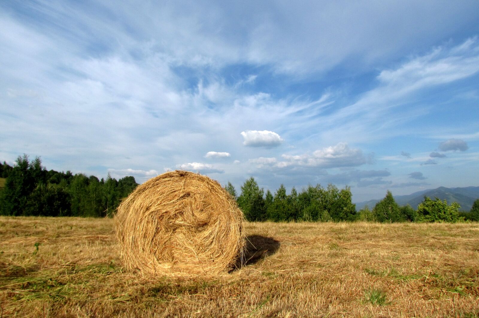 Canon PowerShot SX30 IS sample photo. Hay harvest, prom, sky photography