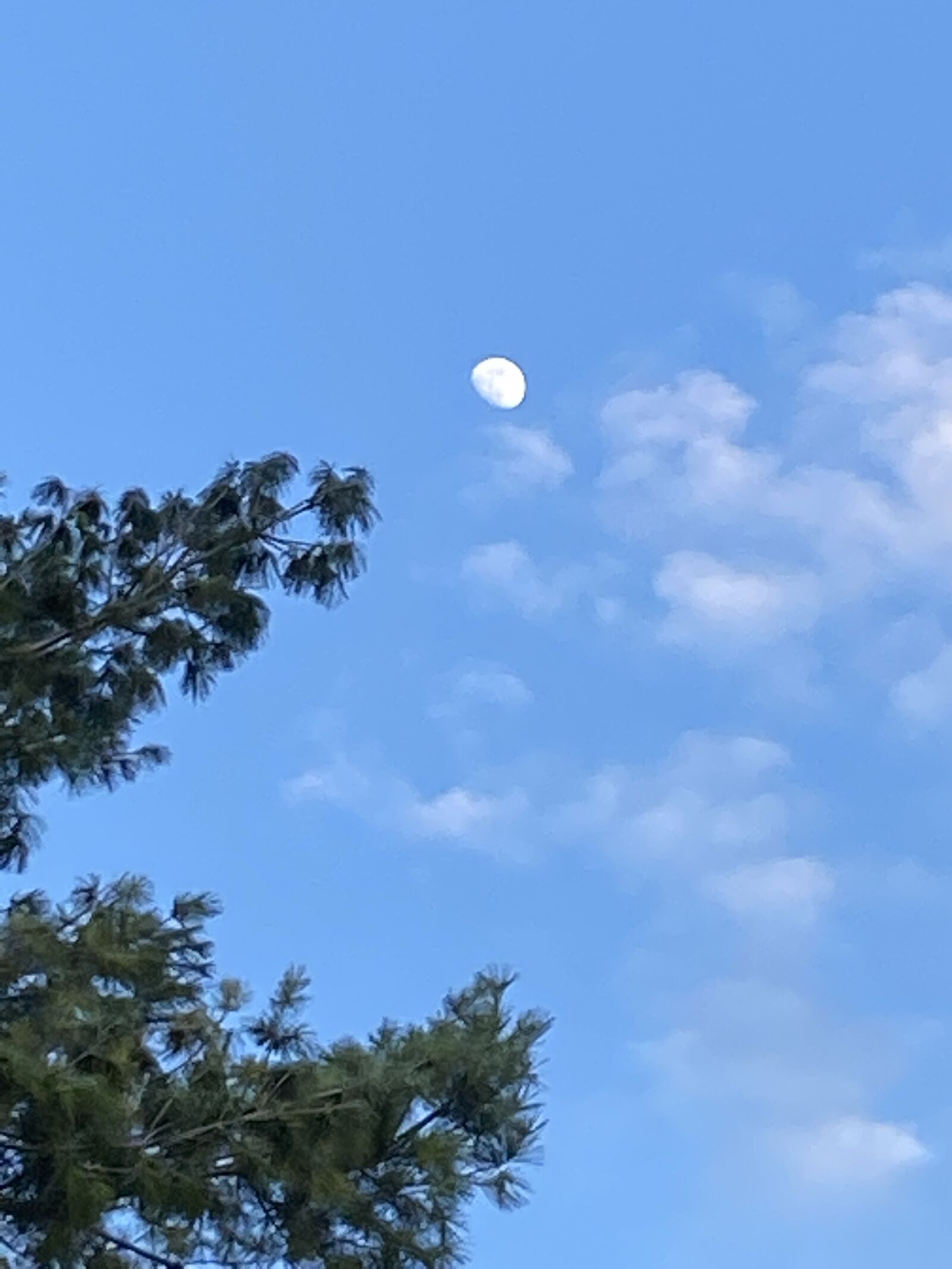 iPhone 11 Pro back camera 4.25mm f/1.8 sample photo. Moon, sky, space photography