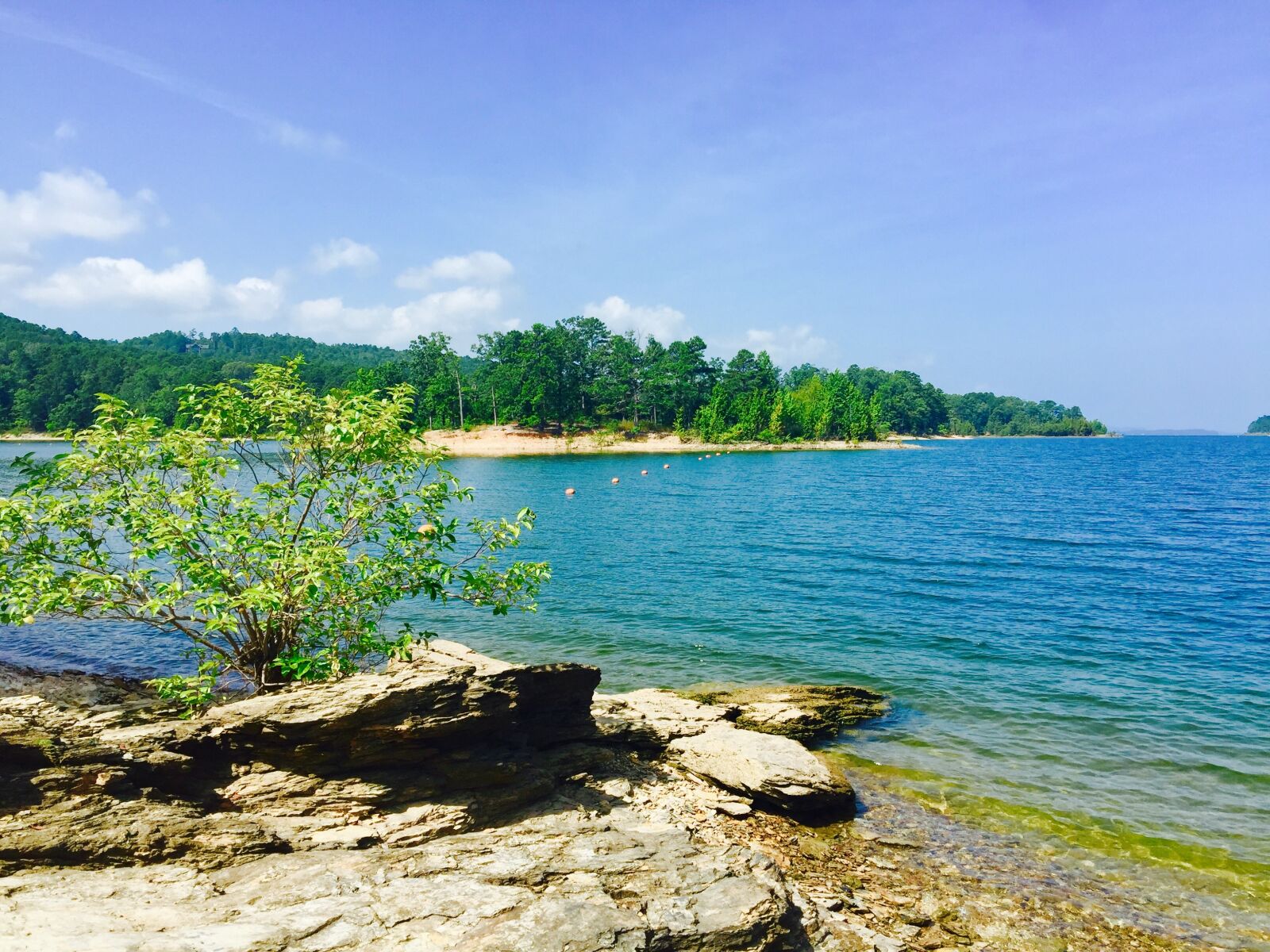 iPhone 6 Plus back camera 4.15mm f/2.2 sample photo. Lake ouachita, arkansas, cyb photography