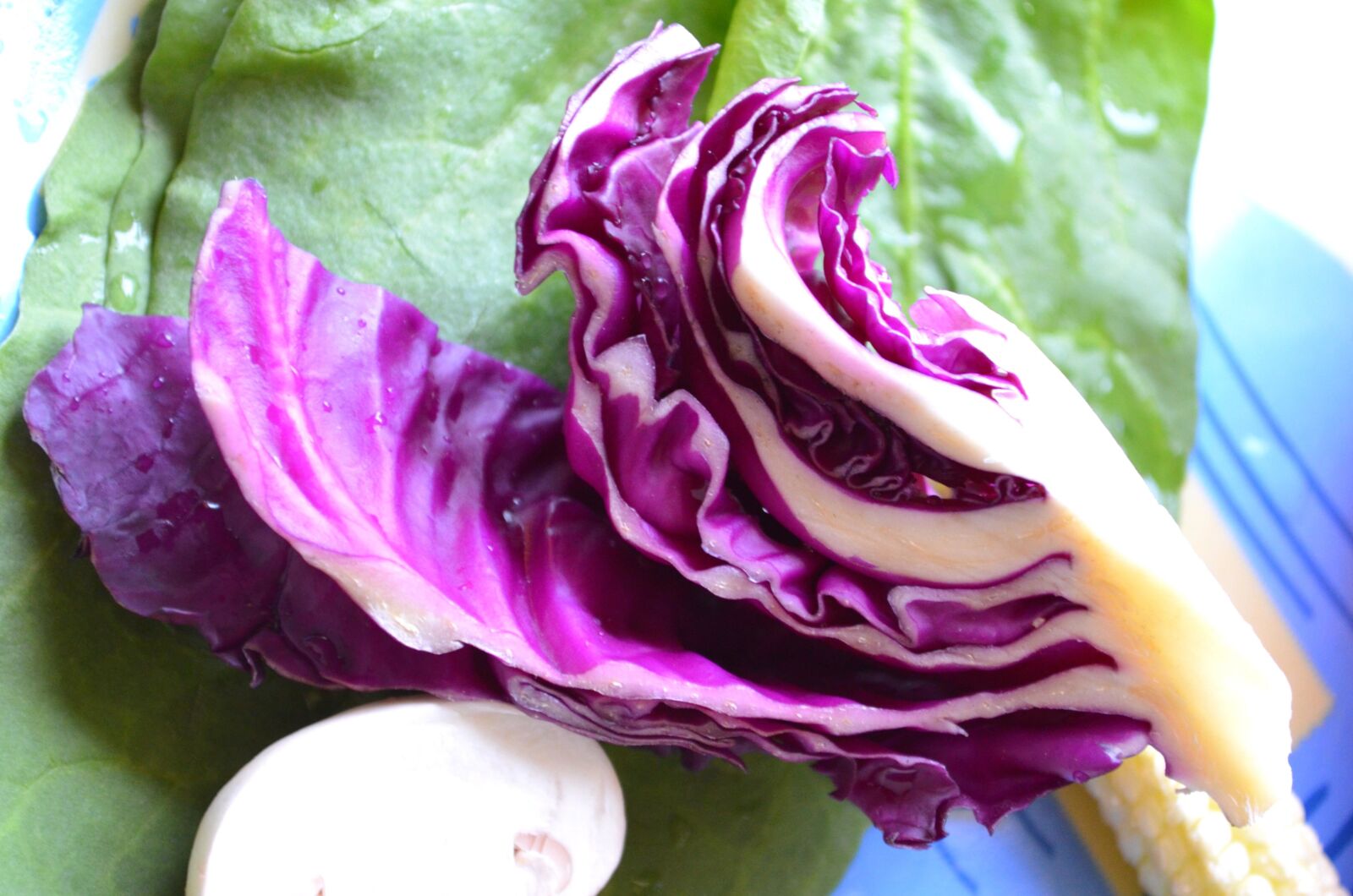 Nikon D5100 sample photo. Cabbage, vegetable, salad photography