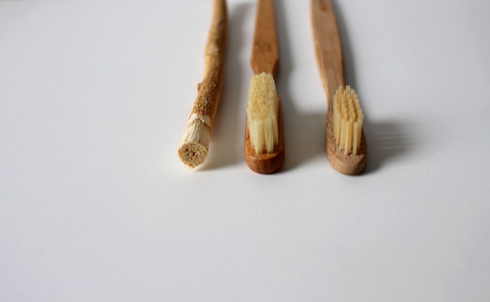 Canon EOS 700D (EOS Rebel T5i / EOS Kiss X7i) sample photo. Dental care, zero waste photography