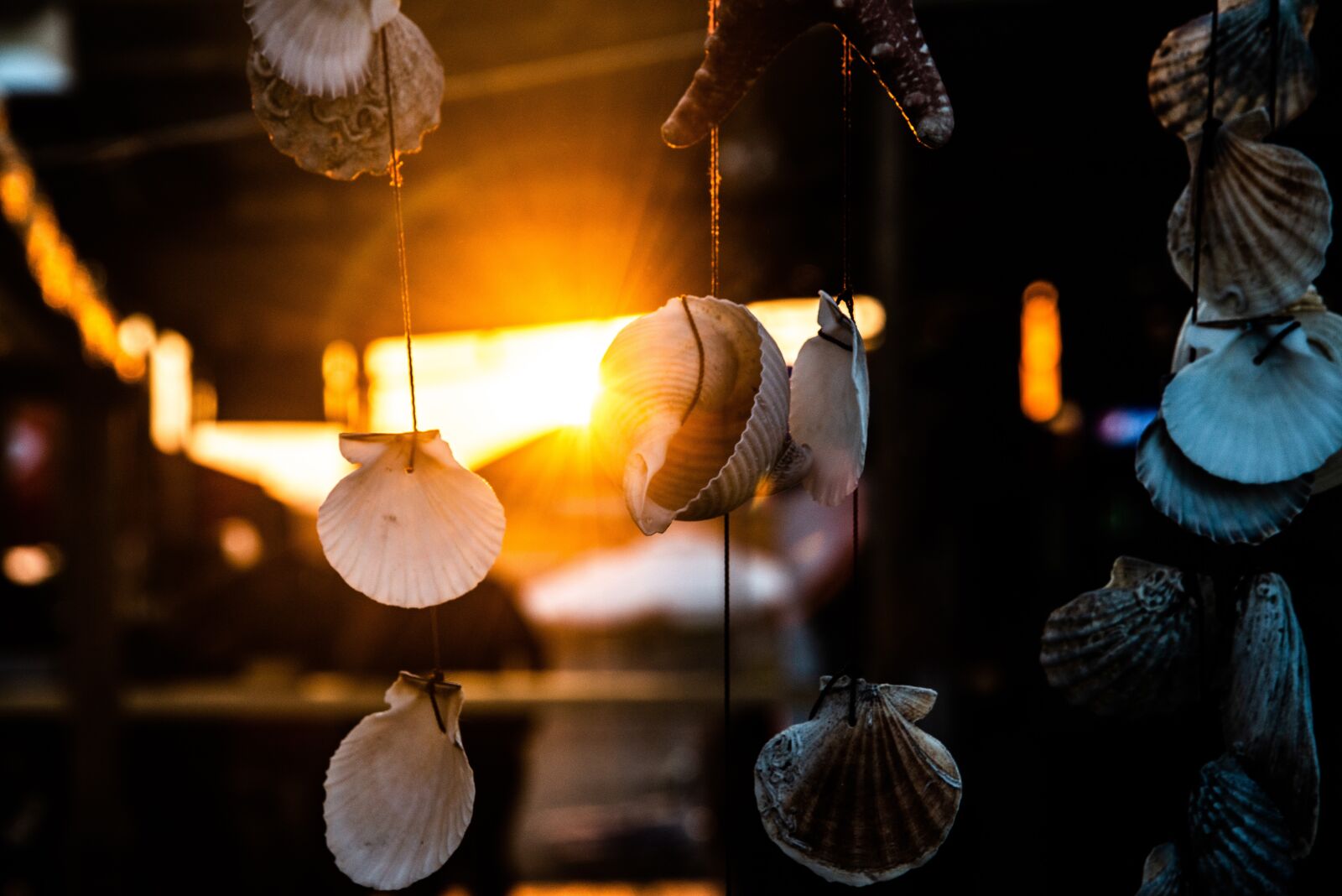 Nikon D800 sample photo. Sun, summer, nature photography