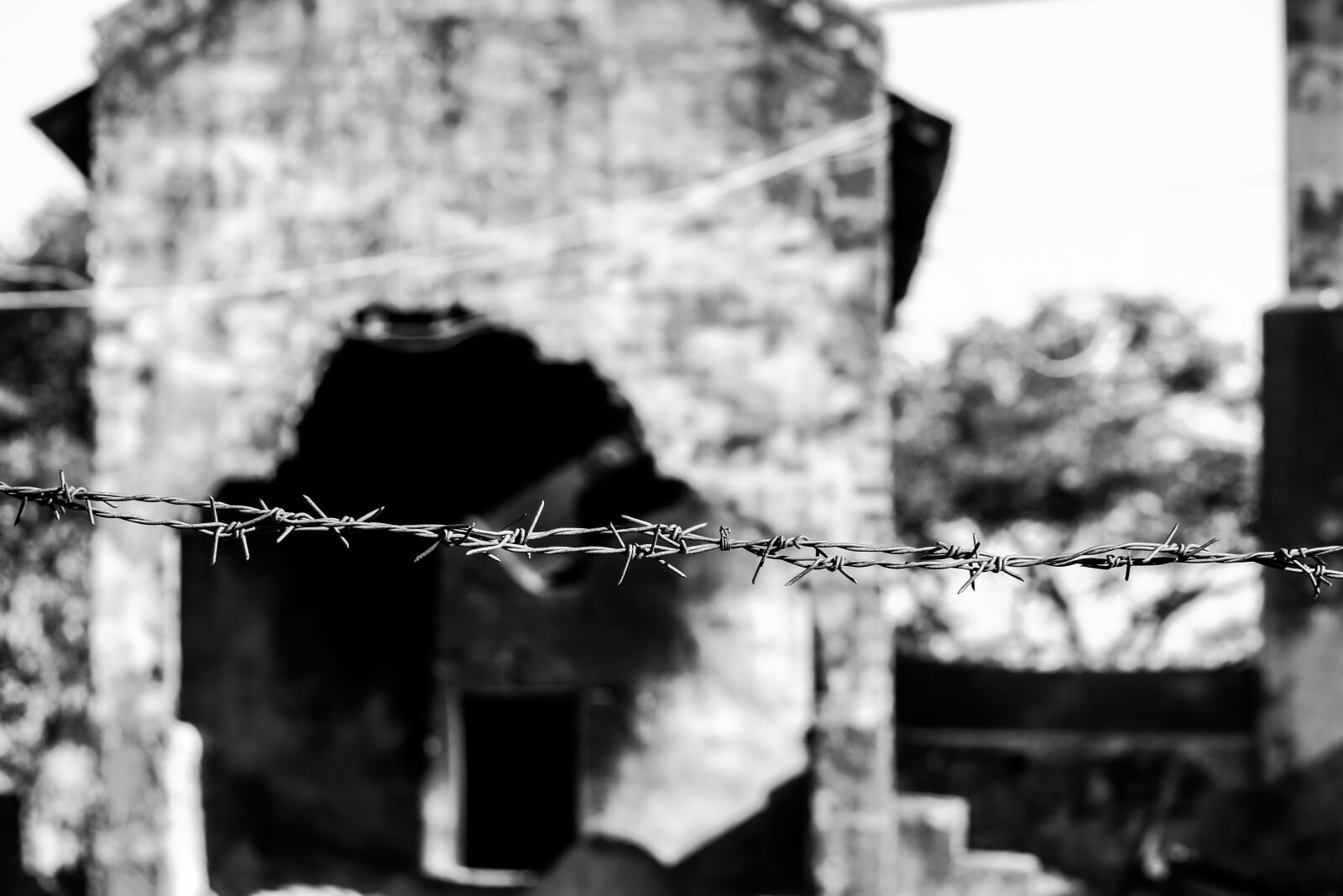 Canon EOS 700D (EOS Rebel T5i / EOS Kiss X7i) sample photo. Monochrome, black and white photography