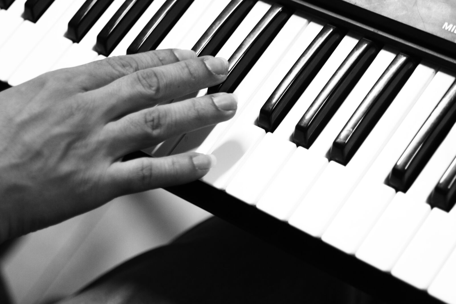 Canon EOS 70D sample photo. Piano, music, keyboard photography