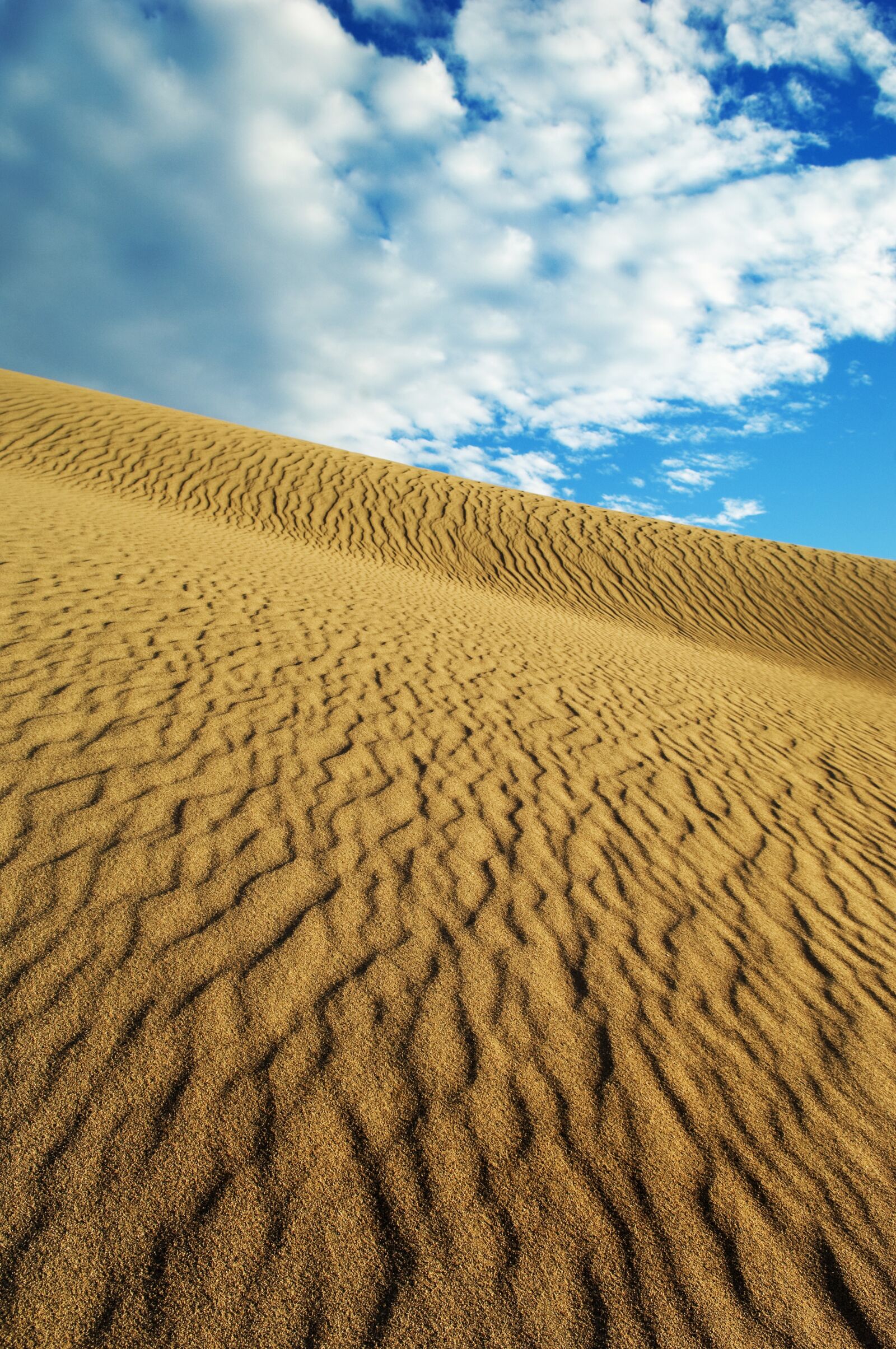 Nikon D2X sample photo. Dunes, sand, desert photography