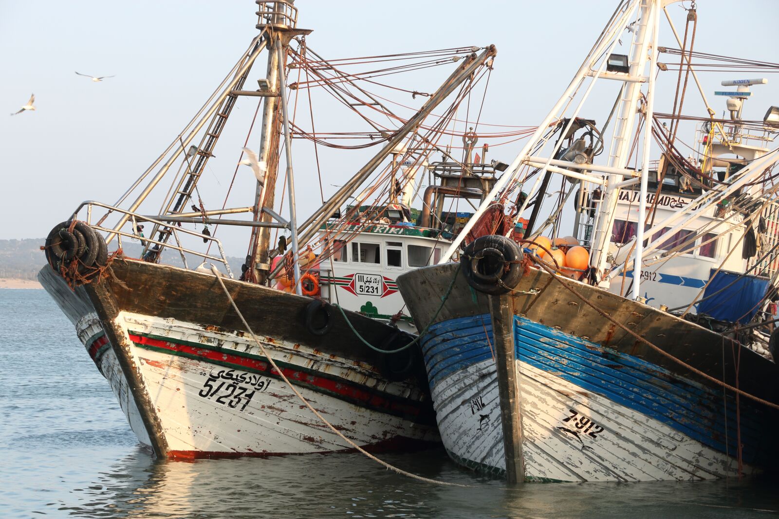 Canon EOS 750D (EOS Rebel T6i / EOS Kiss X8i) sample photo. Morocco, essaouira, harbour photography