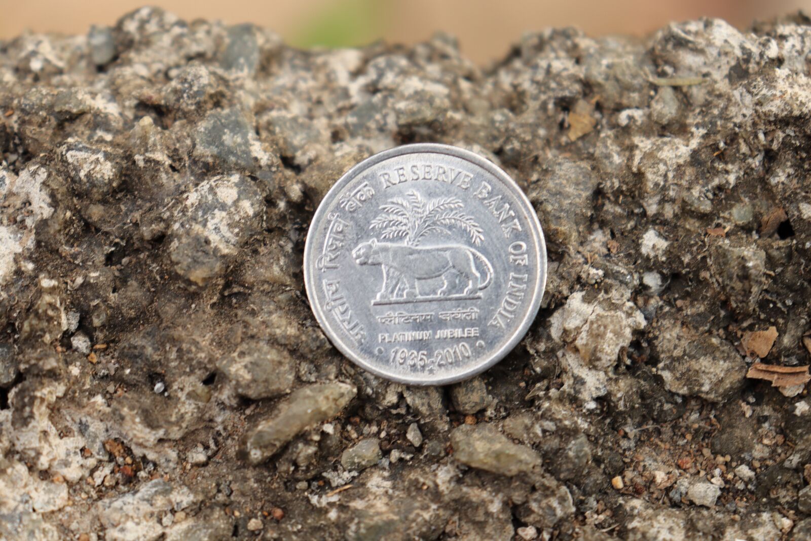 Canon EOS 250D (EOS Rebel SL3 / EOS Kiss X10 / EOS 200D II) sample photo. Coin, outdoor, kerala photography