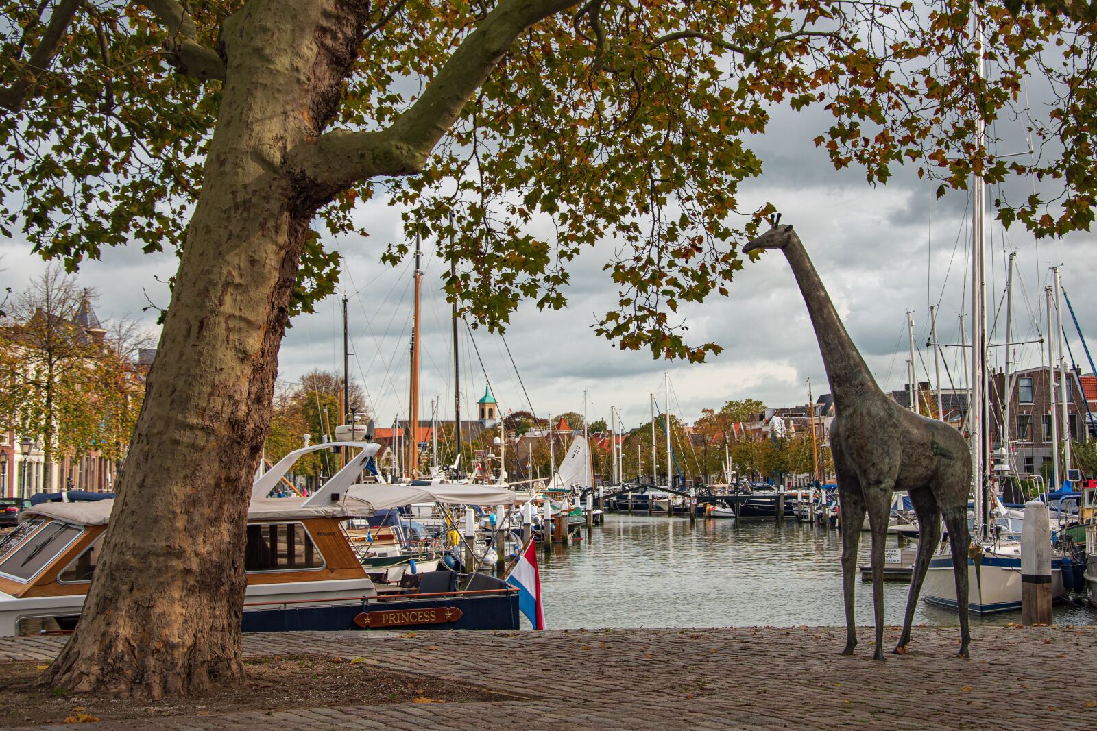 Nikon D5600 sample photo. Dordrecht, netherlands, port photography