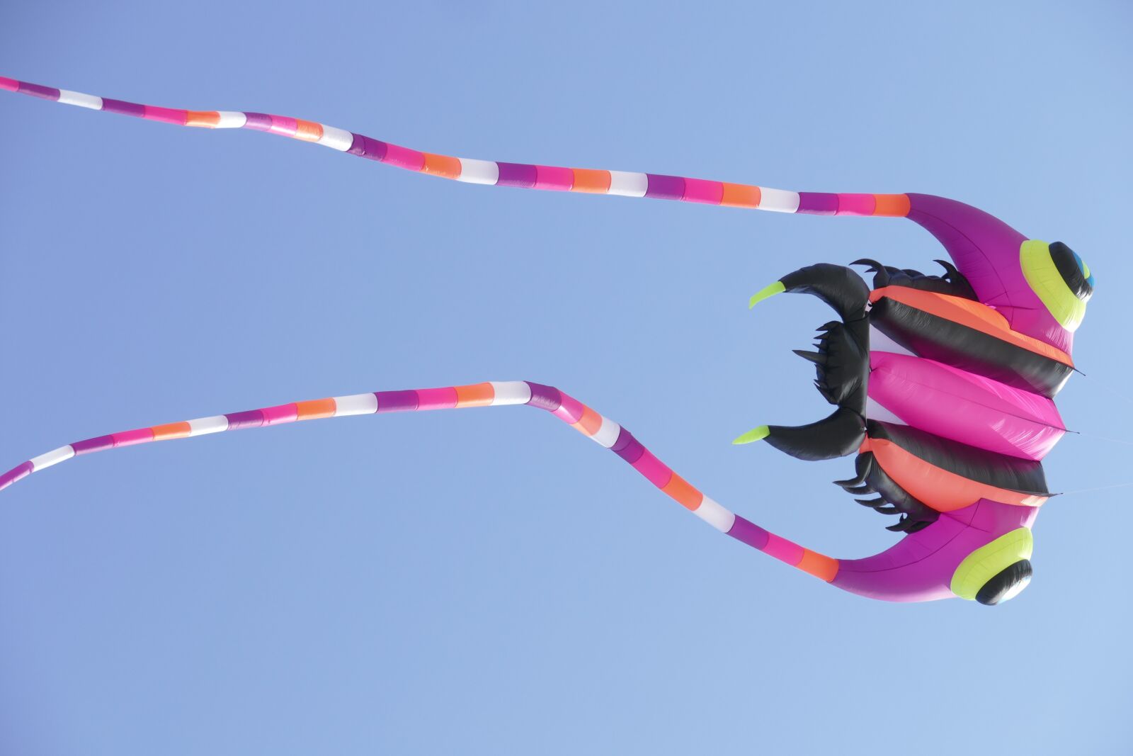Panasonic Lumix DMC-FZ1000 sample photo. Kite festival, denmark, sky photography
