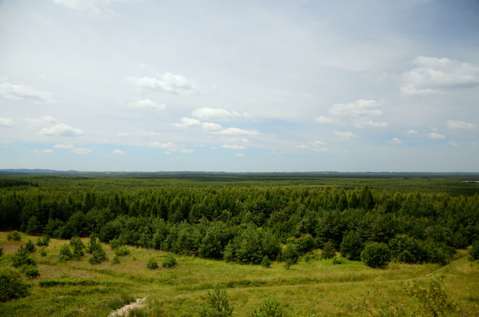 Nikon D7000 sample photo. Forest, landscape, view photography