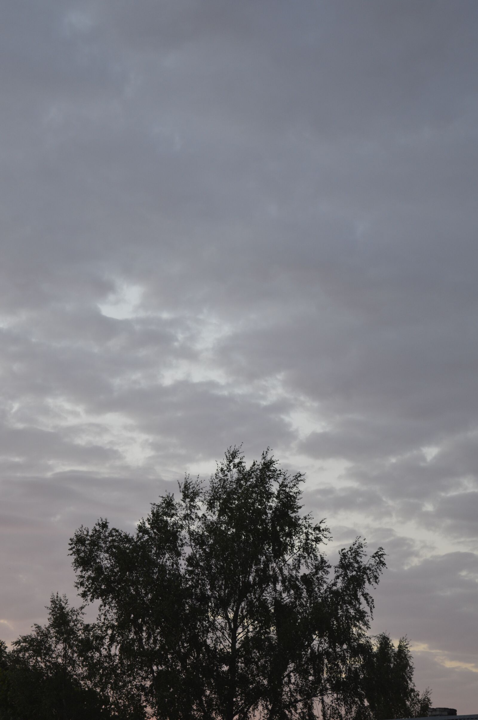 Nikon D3200 sample photo. Sky, grey, clouds photography