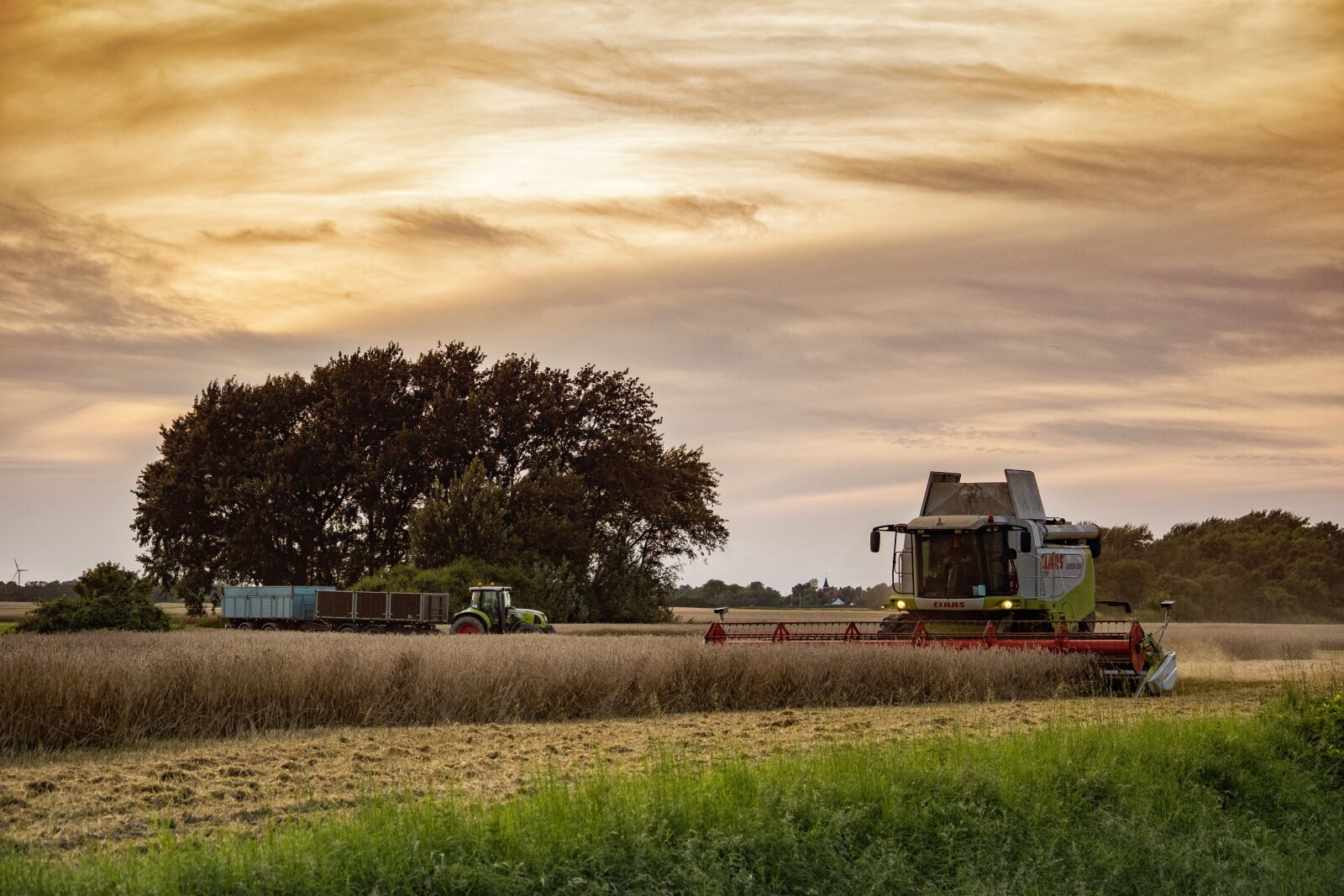 Nikon D5300 sample photo. Harvest, agriculture, combine harvester photography
