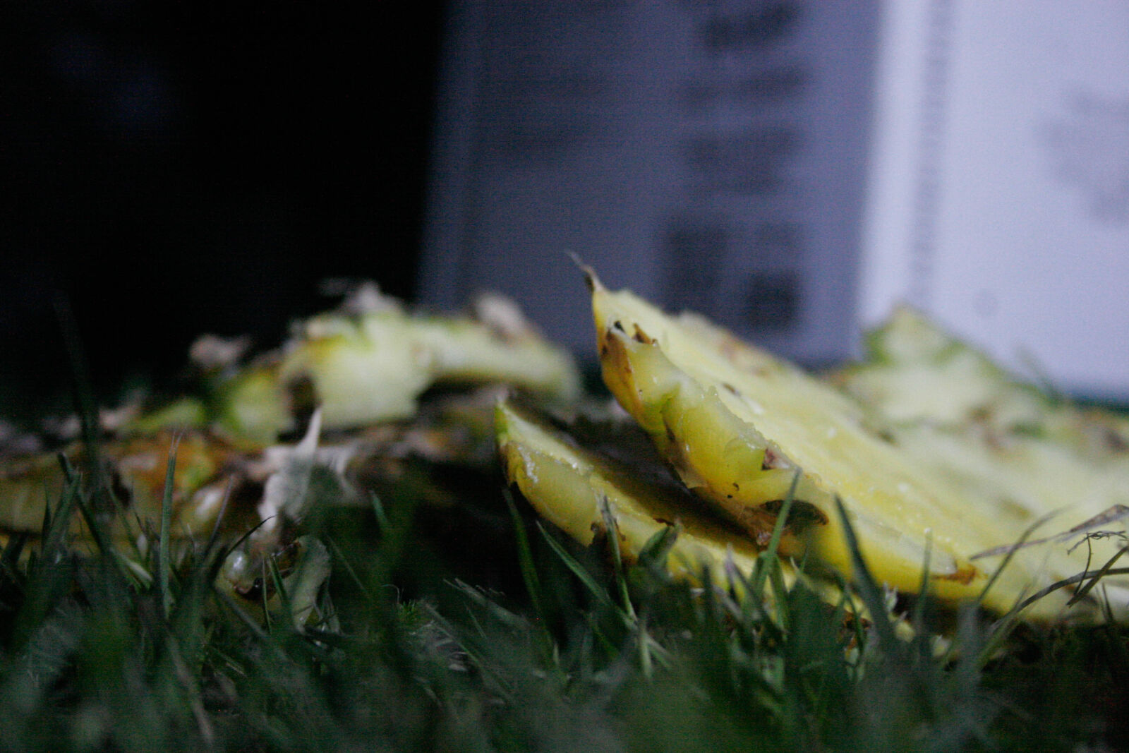 Canon EOS 20D sample photo. Compost, cut, food, scraps photography