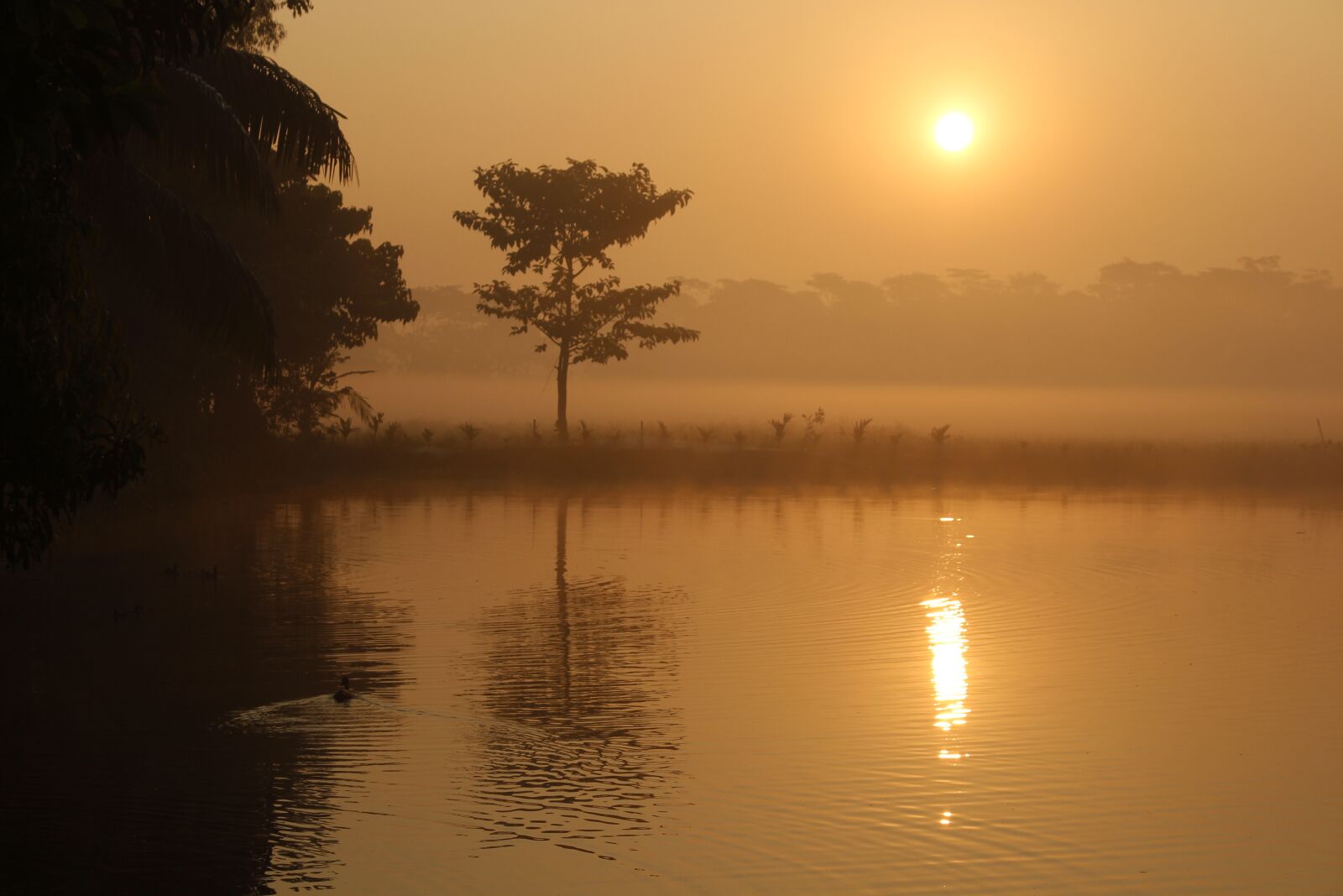 Canon EOS 700D (EOS Rebel T5i / EOS Kiss X7i) sample photo. Sunrise, dawn, water photography