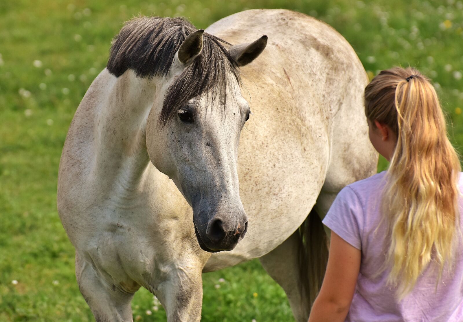 Nikon D7200 sample photo. Girl, love for animals photography