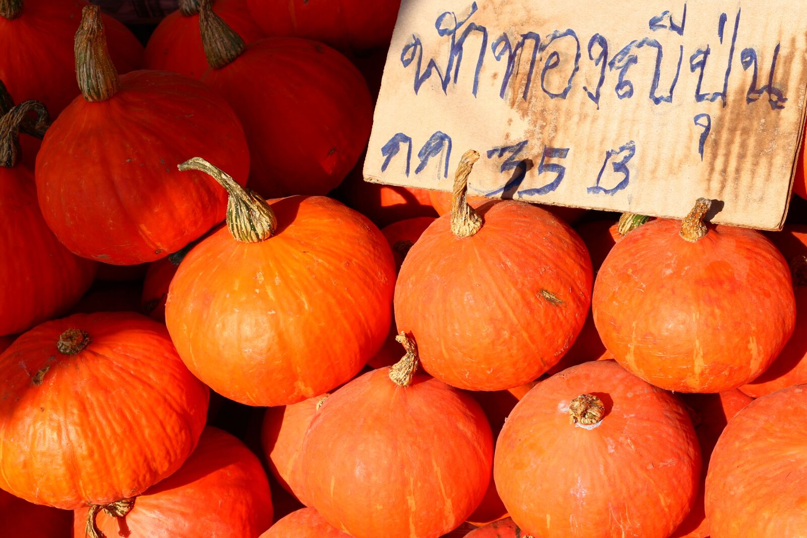 Canon EOS 100D (EOS Rebel SL1 / EOS Kiss X7) sample photo. Pumpkin, orange, fresh photography