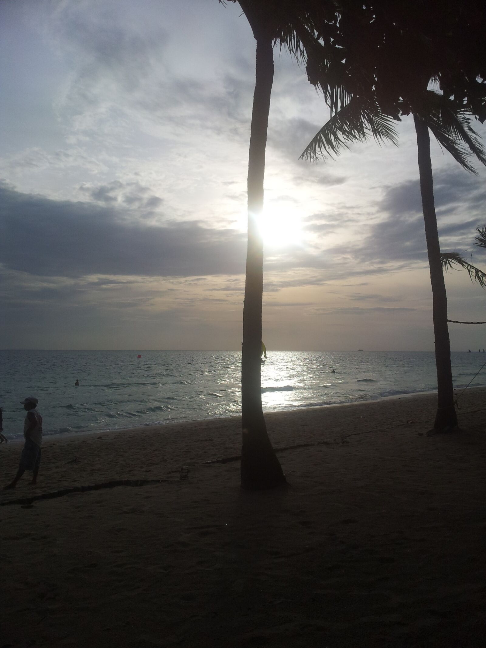 Samsung Galaxy S2 sample photo. Beach, boracay, palm, tree photography
