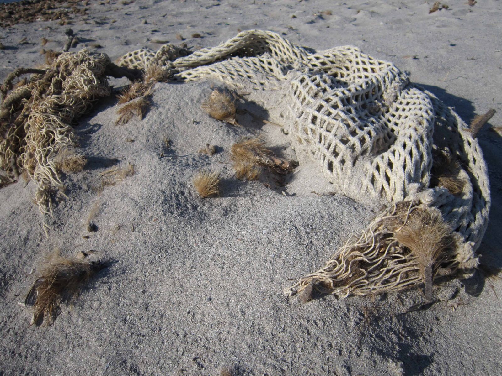 Canon PowerShot A3200 IS sample photo. Seashore, beach, sea, rope photography