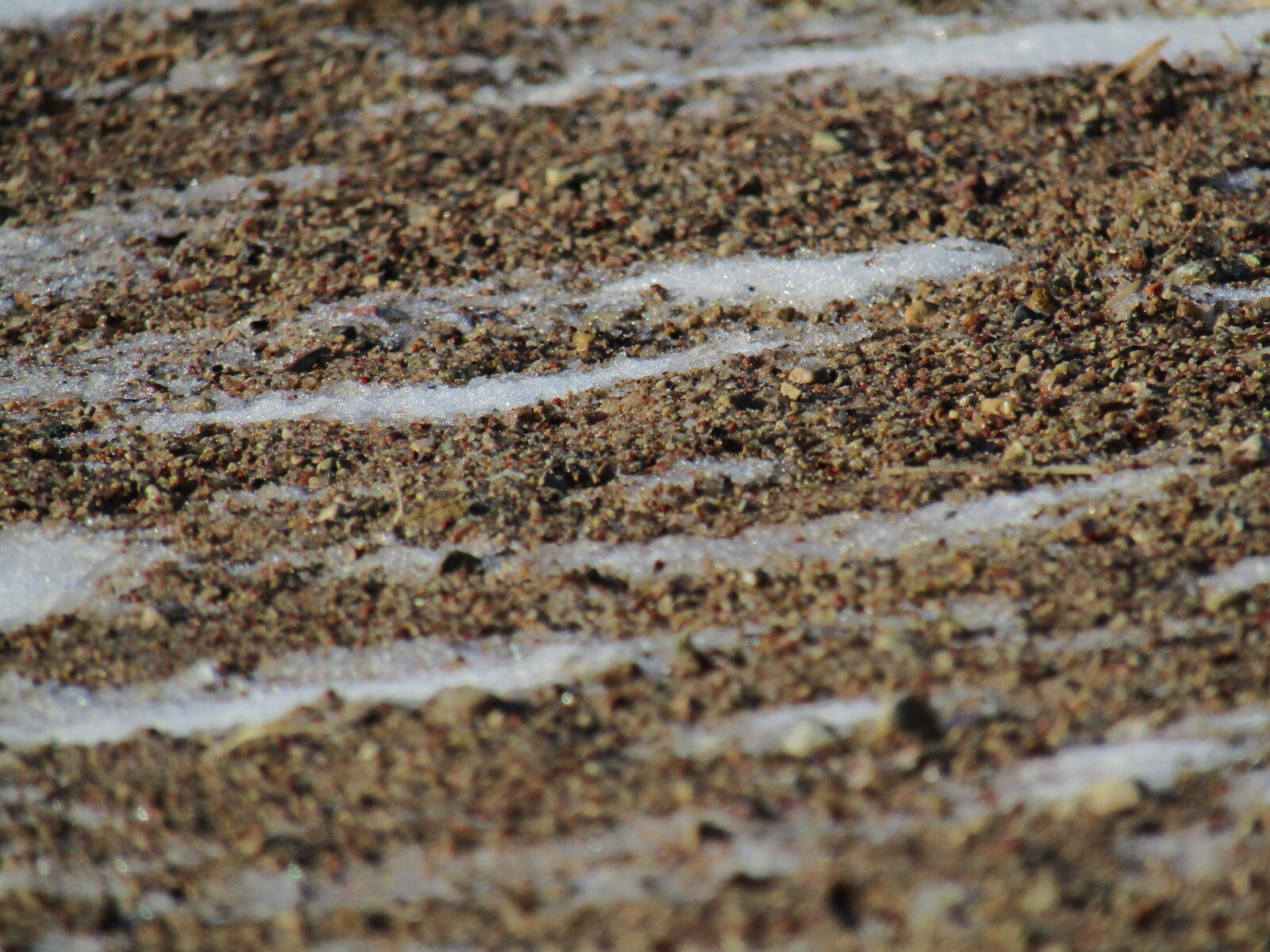 Canon PowerShot SX420 IS sample photo
