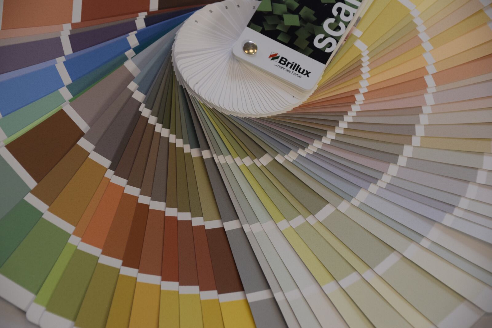 Nikon D3300 sample photo. Wall color, color fan photography