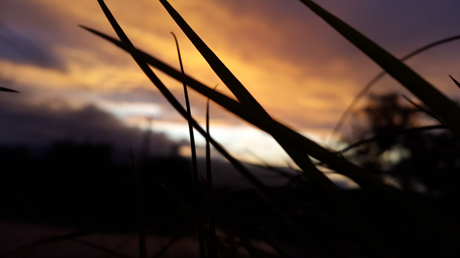 Samsung Galaxy Alpha sample photo. Sunset photography