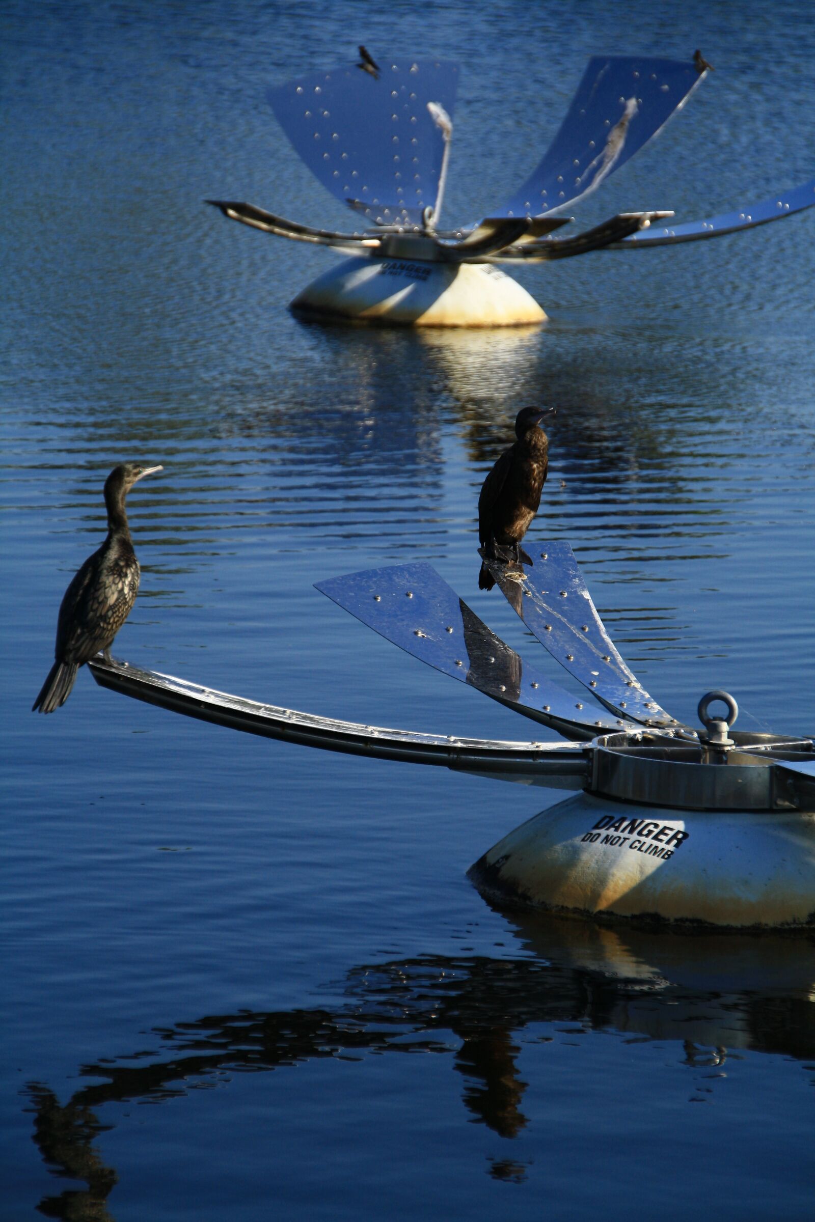 Canon EOS 1000D (EOS Digital Rebel XS / EOS Kiss F) sample photo. Lake, gold coast, australia photography