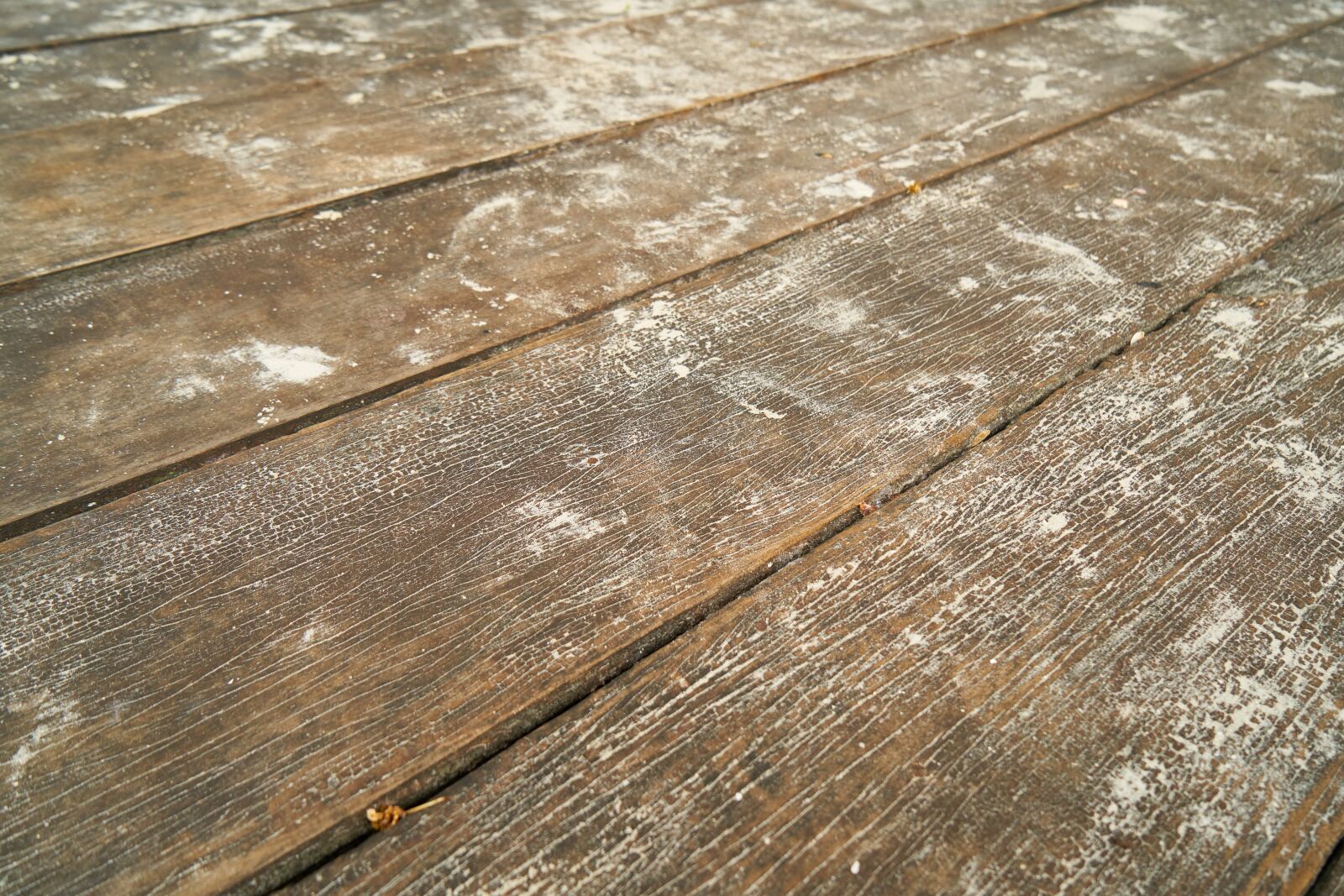Sony a7R II sample photo. Wood, tree, abstract photography