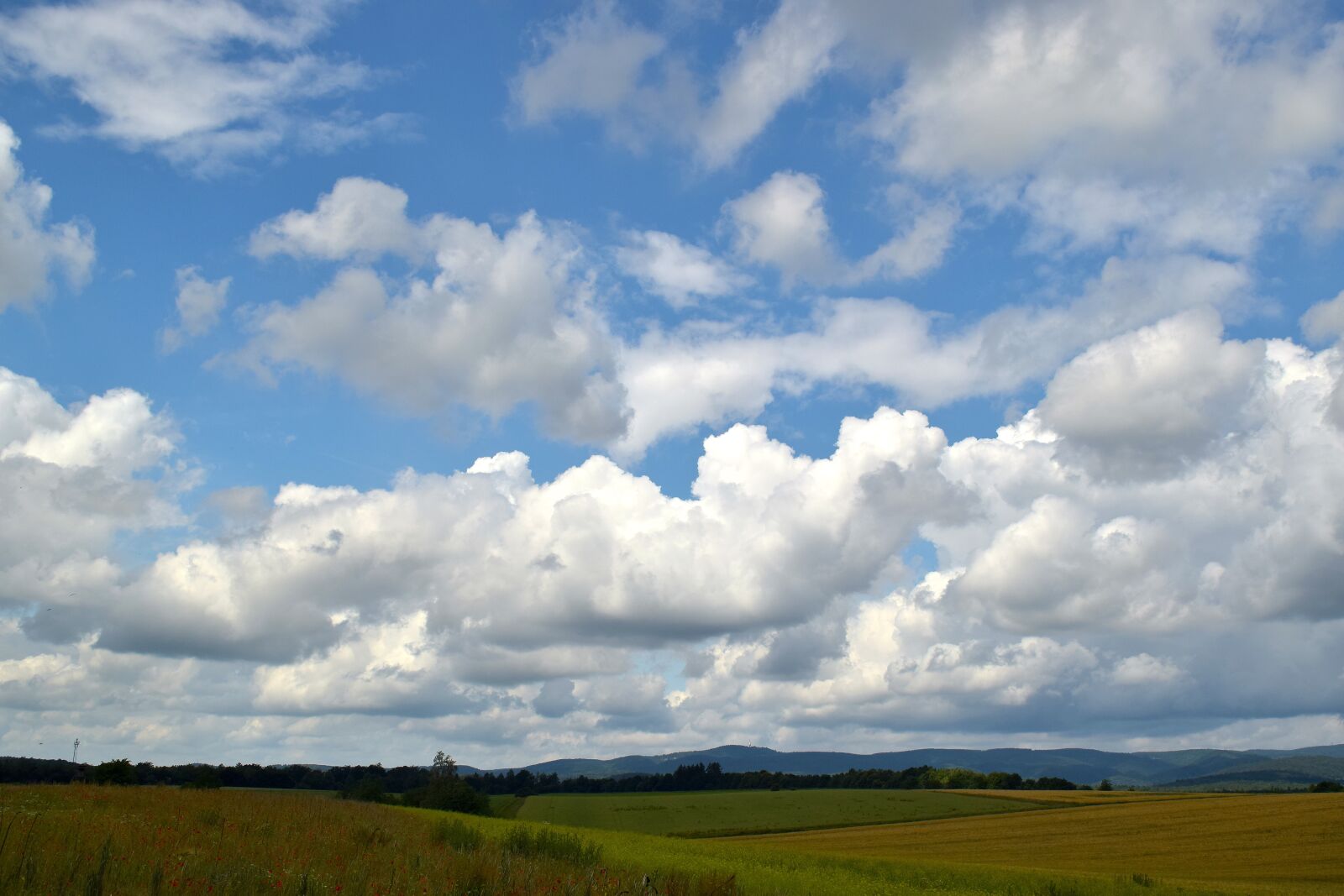 Nikon D5300 sample photo. Sky, clouds, field photography