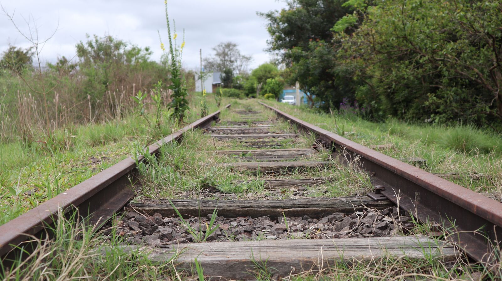 Canon EF-M 15-45mm F3.5-6.3 IS STM sample photo. Trail, train, abandoned photography
