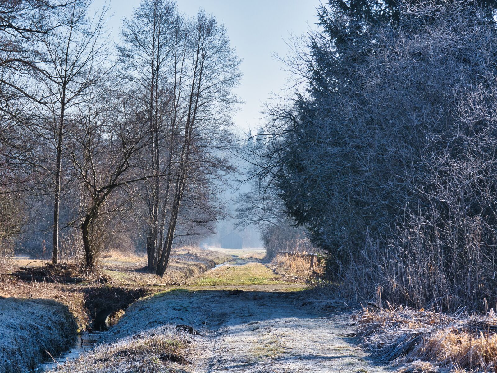 Nikon D7100 sample photo. Autumn, winter, frost photography