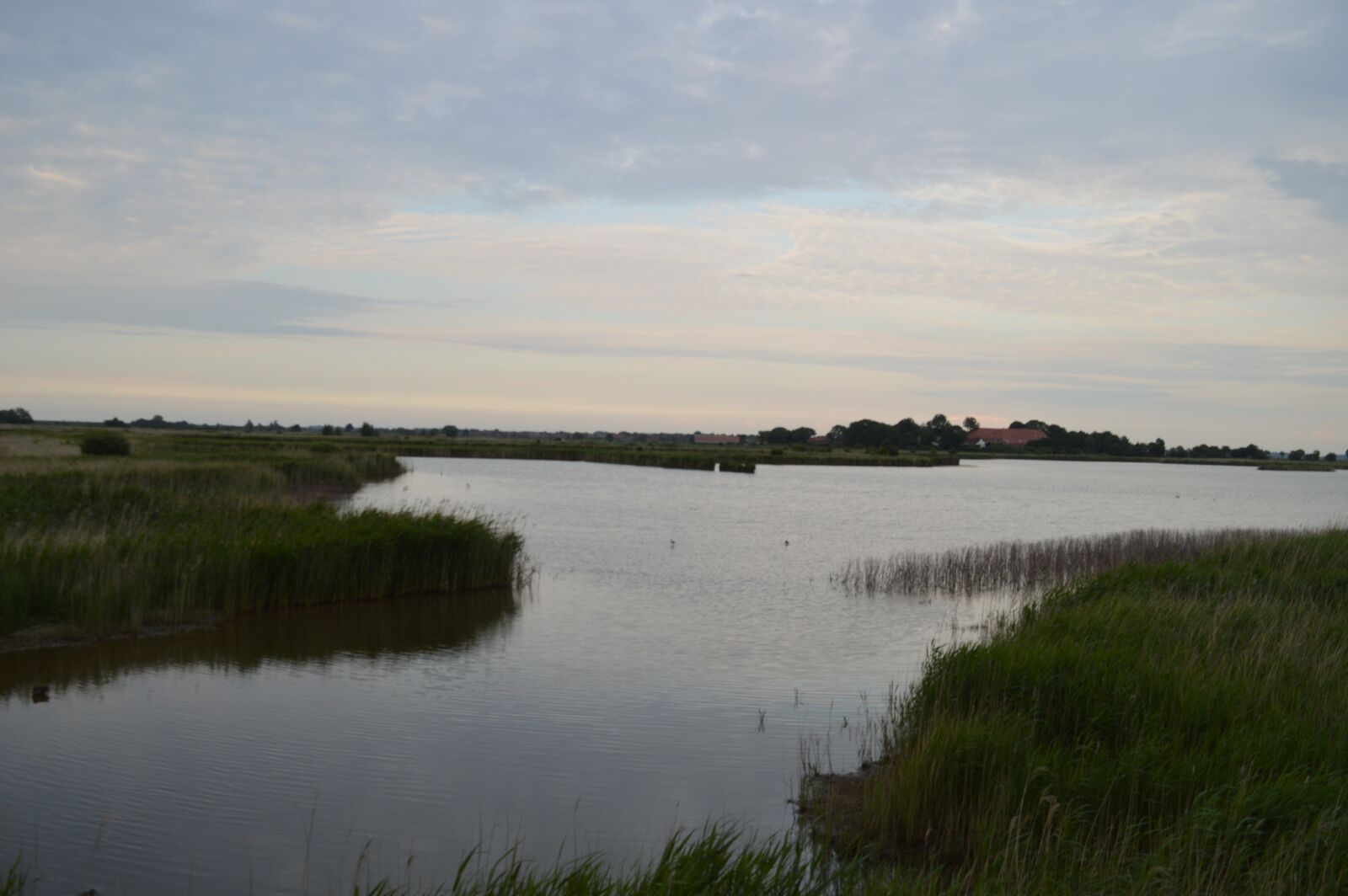 Nikon D3200 sample photo. Bird protection, sky, view photography