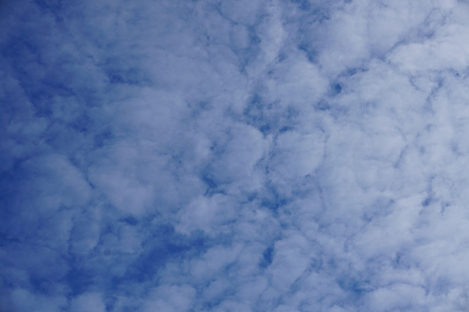 Sony a6000 sample photo. Blue, white, clouds photography