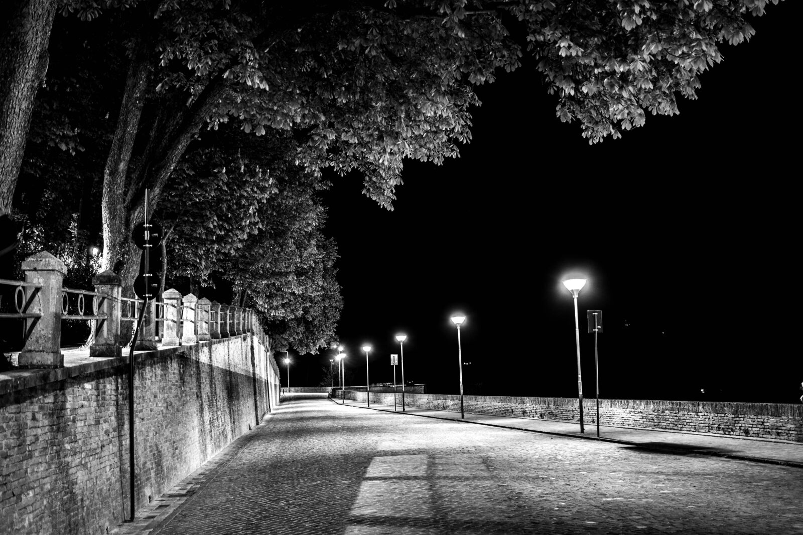 Canon EOS 500D (EOS Rebel T1i / EOS Kiss X3) + Canon EF-S 18-55mm F3.5-5.6 II sample photo. Monochrome, urban road, people photography