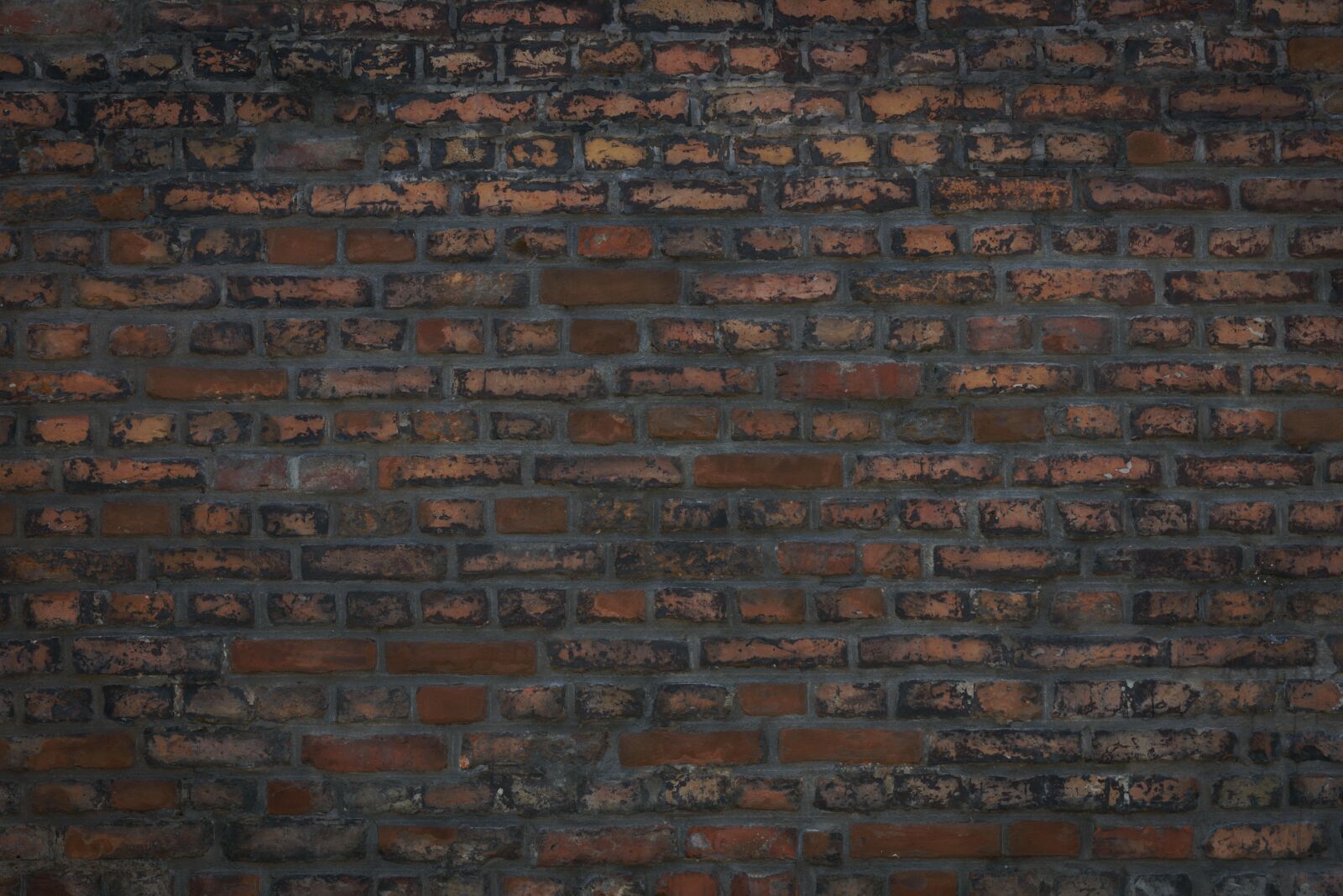 Nikon D750 sample photo. Wall of bricks, lake photography