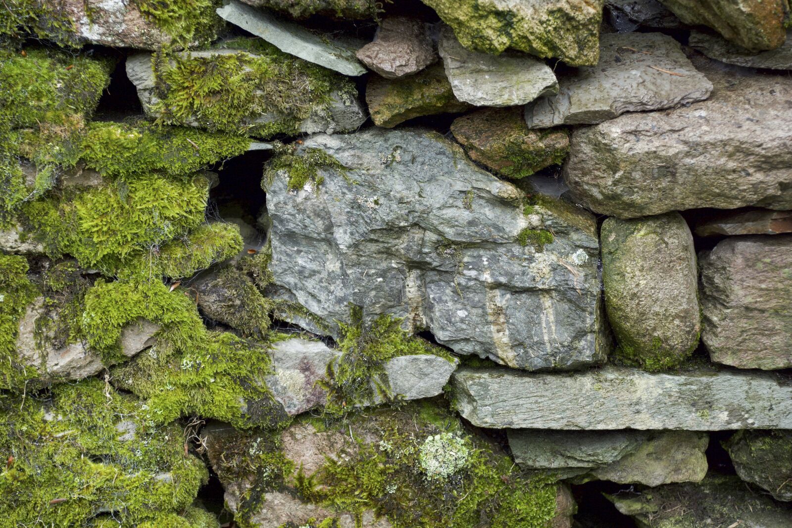 Nikon D7100 sample photo. Stone wall, moss, texture photography