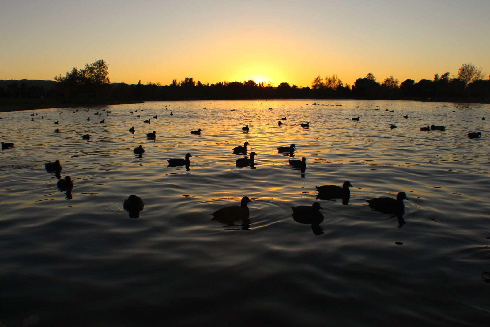 Canon EOS 700D (EOS Rebel T5i / EOS Kiss X7i) sample photo. Sunset, ducks, pond photography
