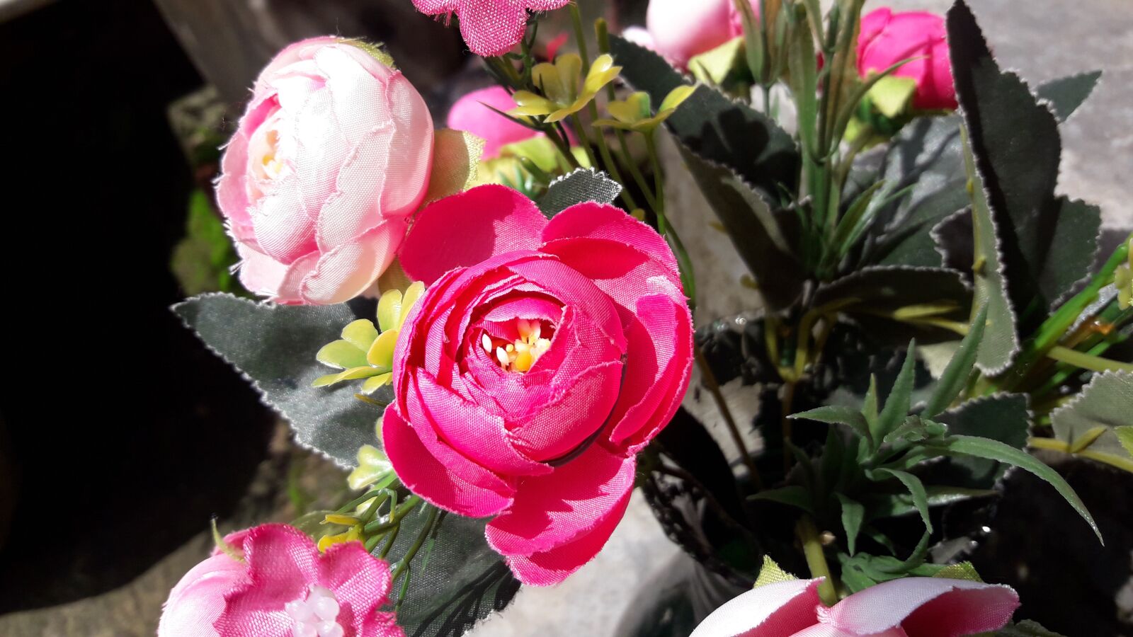 Samsung Galaxy J7 Neo sample photo. Flower images wallpaper, flower photography