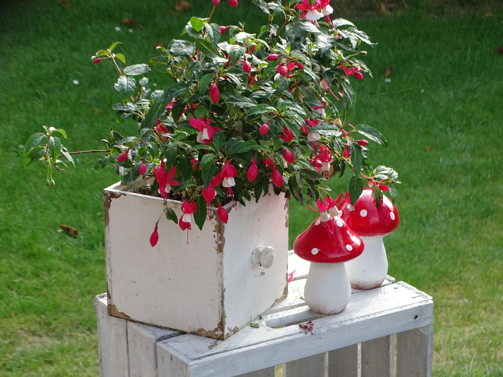 Sony Cyber-shot DSC-HX400V sample photo. Garden, deco, nostalgia photography