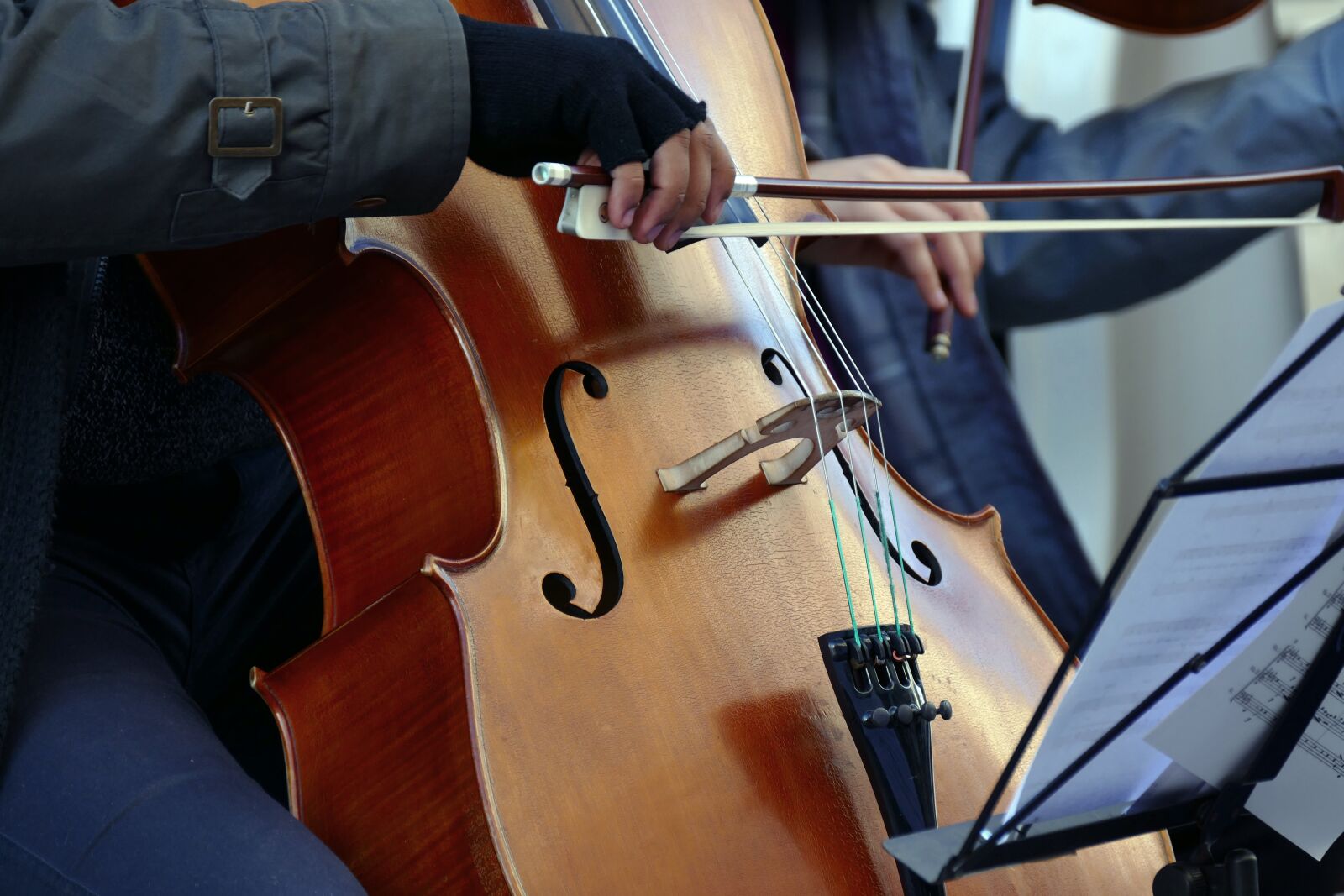 Panasonic Lumix DMC-FZ1000 sample photo. Violinist, cellist, artist photography