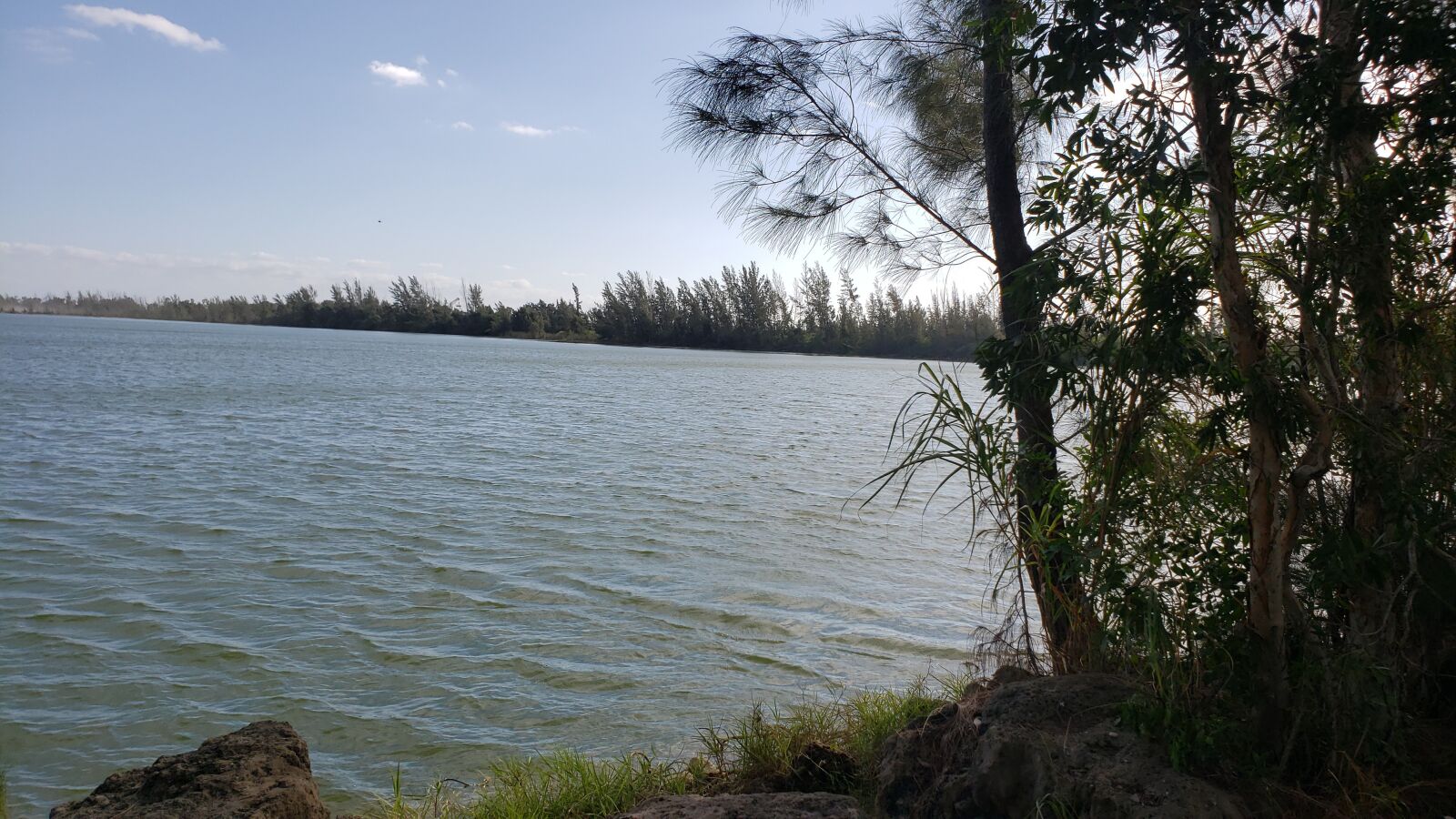 Samsung Galaxy Note9 sample photo. Lake, trees, water photography