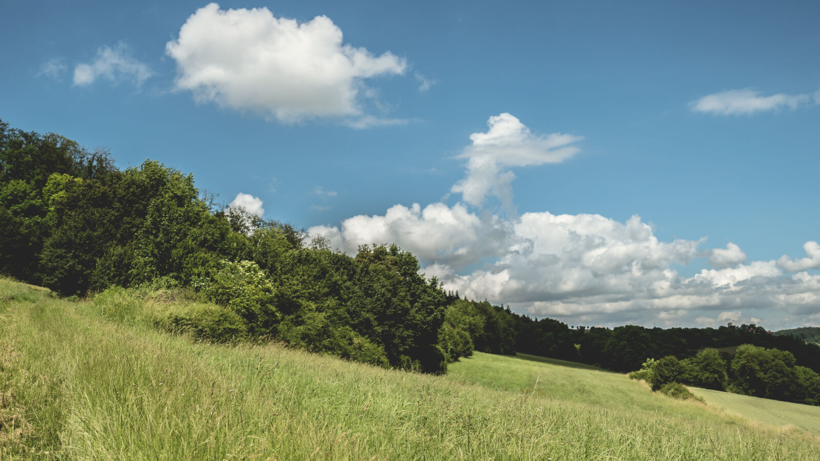 24-70mm F2.8-2.8 SSM sample photo. Blue, sky, clouds, countryside photography