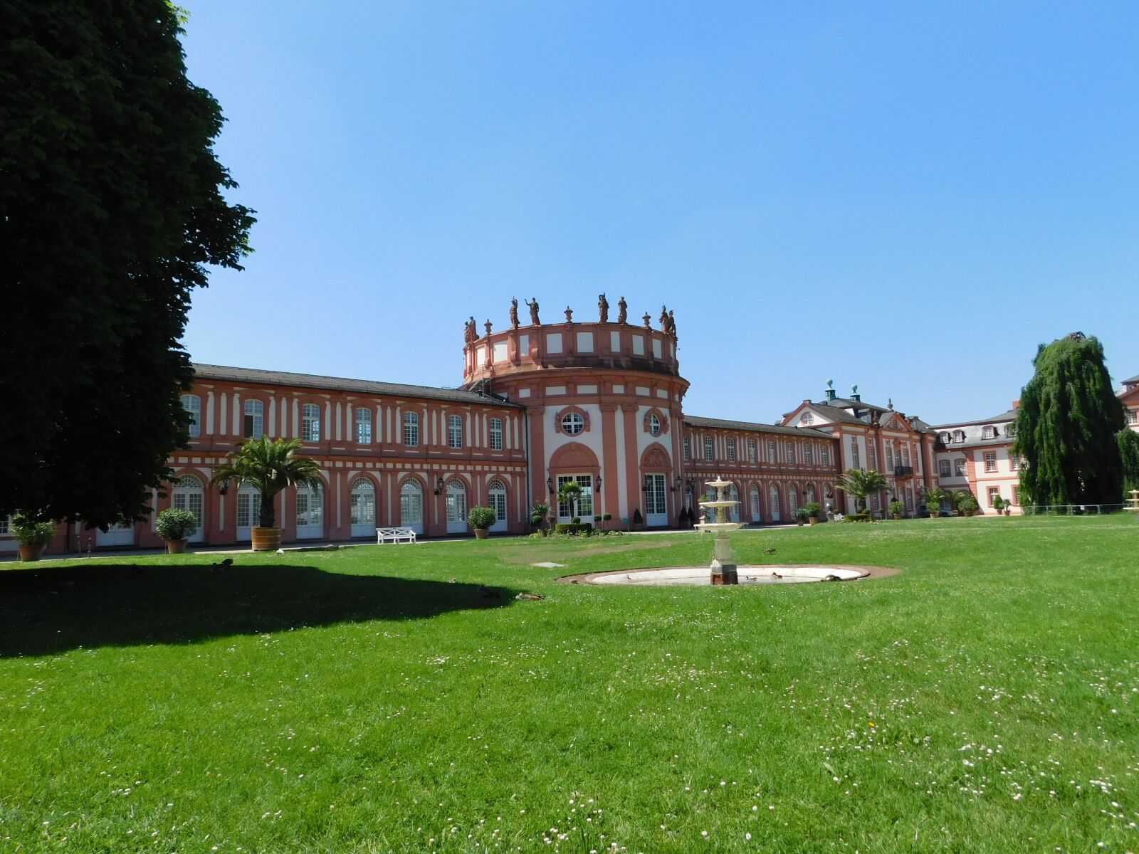 Nikon Coolpix B500 sample photo. Castle, wiesbaden, castle park photography