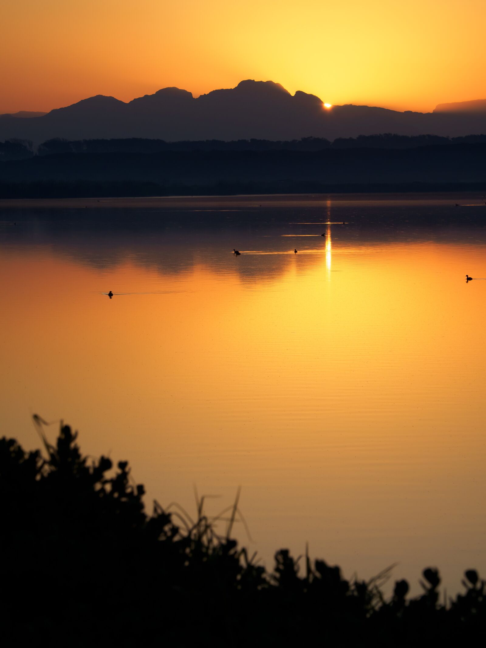 Olympus M.Zuiko Digital ED 12-100mm F4.0 IS Pro sample photo. Sunrise, cape town, sunset photography