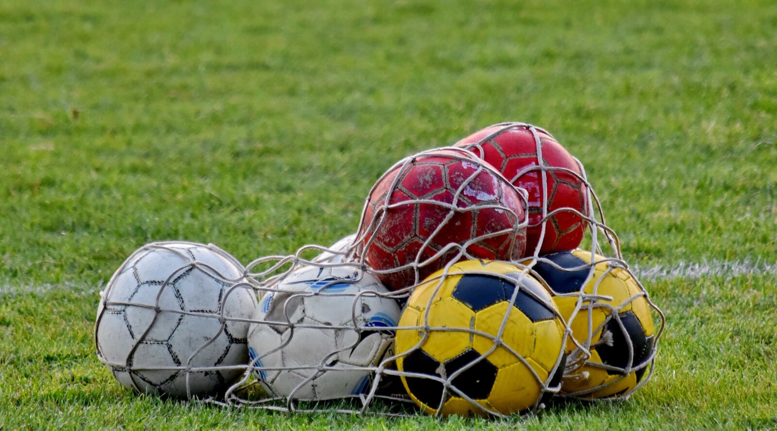 Nikon D5500 sample photo. Green grass, soccer ball photography