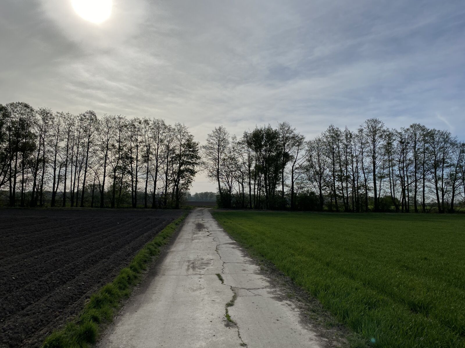 Apple iPhone 11 sample photo. Trail, nature, freedom photography