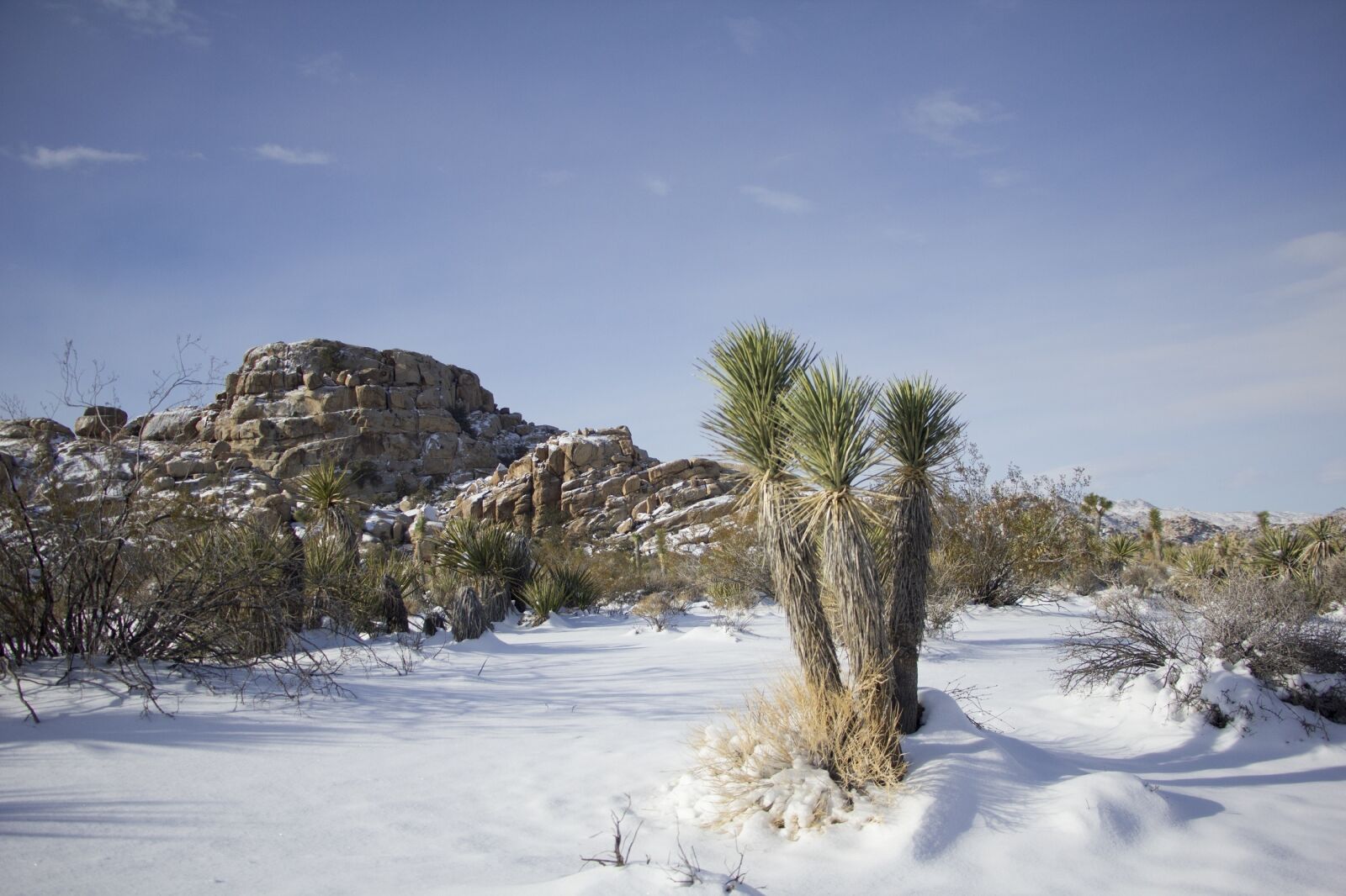 Canon EOS 550D (EOS Rebel T2i / EOS Kiss X4) sample photo. Landscape, scenic, winter photography
