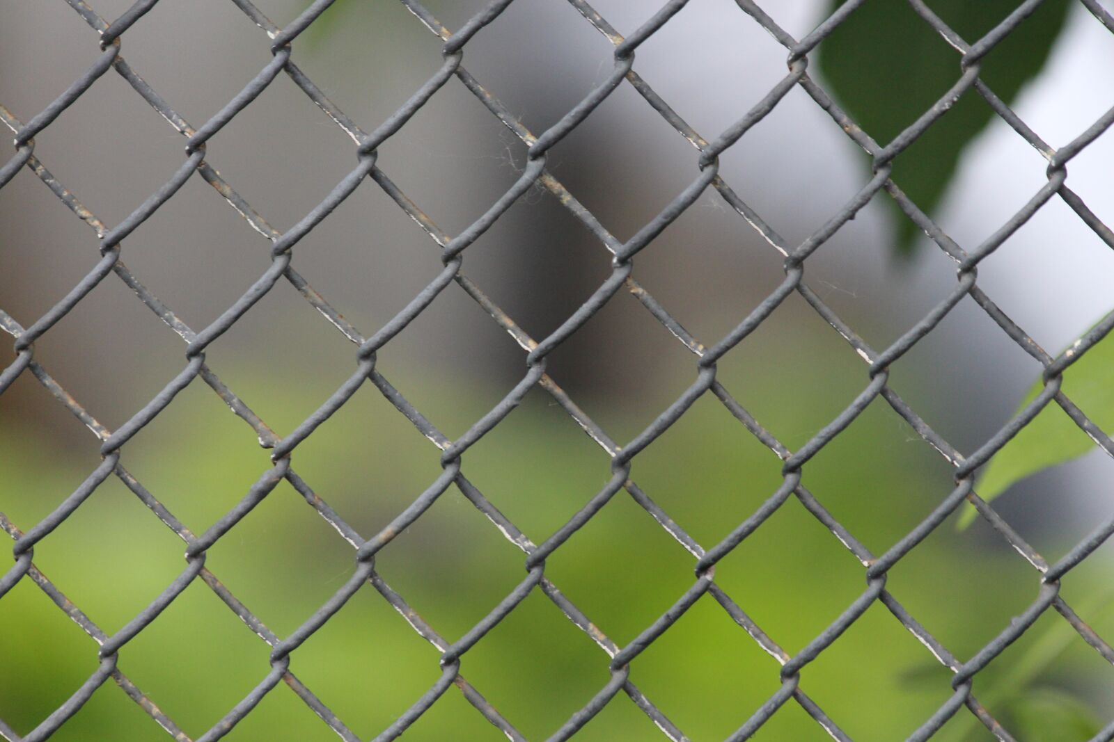 Canon EOS 650D (EOS Rebel T4i / EOS Kiss X6i) sample photo. Grille, steel grating, gray photography