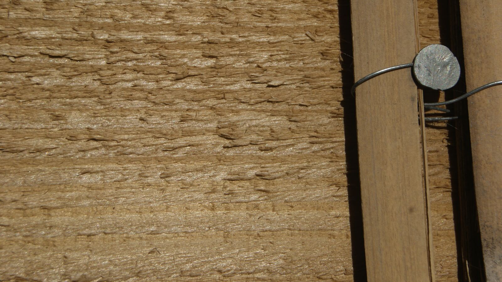 Sony Alpha DSLR-A230 sample photo. Wood, nail, plank photography